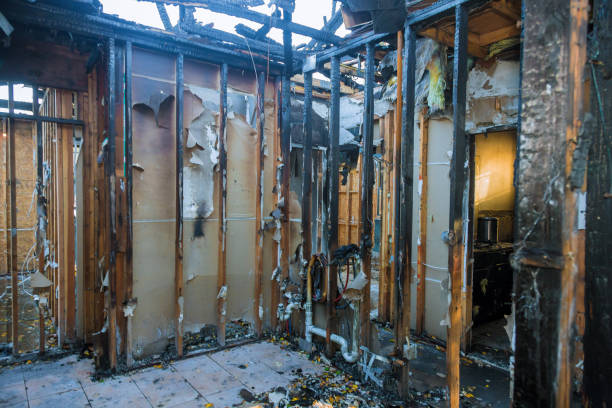 Professional Smoke Damage Removal technician working in Cuthbert, GA